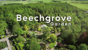 Beechgrove Garden kép