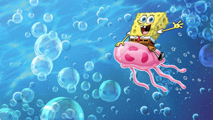 SpongyaBob Kockanadrág kép