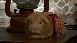 Cochon dingue 2. évad Ep.16 16. epizód