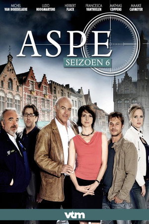 Aspe 6. évad (2010-08-30) poszter