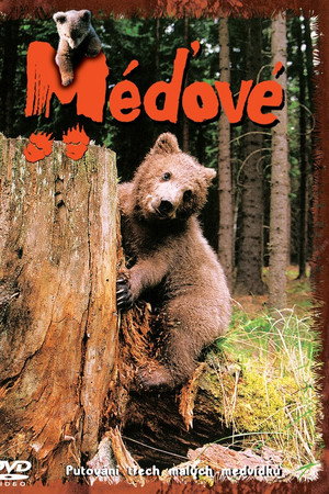 Méďové 1. évad (2001-01-22) poszter