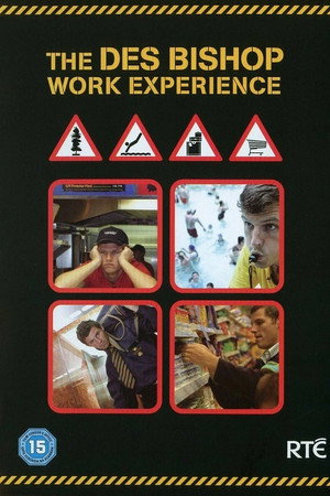The Des Bishop Work Experience poszter