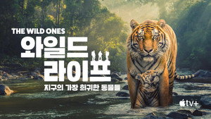 The Wild Ones kép