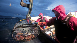 Deadliest Catch: Dungeon Cove 1. évad Ep.2 2. epizód
