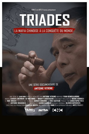 Triades : la Mafia chinoise à la conquête du monde poszter