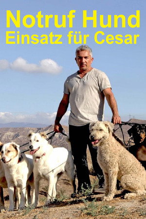 Tárcsázza Cesar Millant! poszter