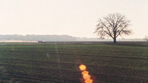 Lemminge kép