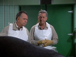 Quincy, M.E. 7. évad Ep.11 11. epizód