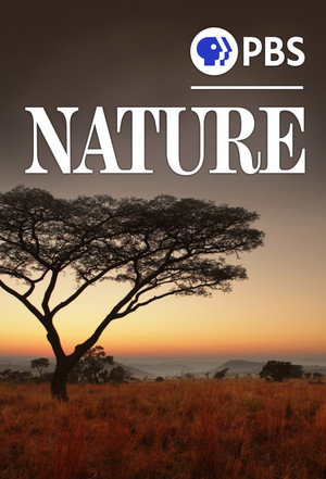 Nature poszter