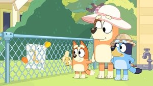 Bluey 1. évad Ep.35 Állatkert