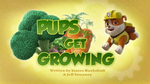 PAW Patrol 3. évad Ep.19 19. epizód