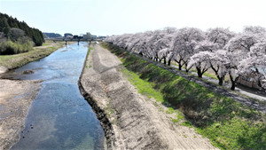 小さな旅 4. évad Ep.534 534. epizód