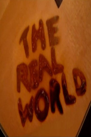 The Real World 16. évad (2005-06-21) poszter
