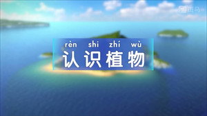 斑马百科 4. évad Ep.1 1. epizód