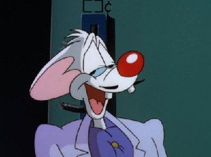 Pinky and the Brain 3. évad Ep.21 21. epizód