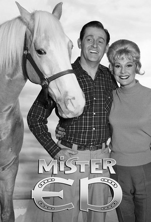Mister Ed poszter