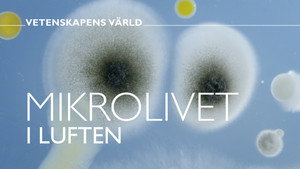 Vetenskapens värld 48. évad Ep.15 15. epizód