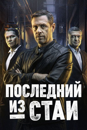Последний из стаи poszter