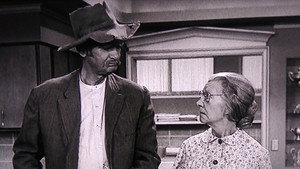The Beverly Hillbillies 2. évad Ep.18 18. epizód