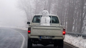Caught on Dashcam Speciális epizódok Ep.2 2. epizód