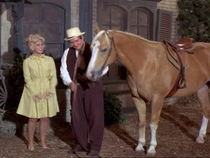 Green Acres 4. évad Ep.13 13. epizód