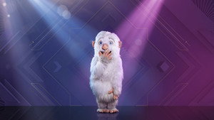 The Masked Singer Austria kép