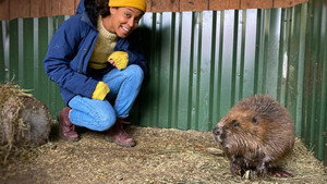 Pia und die wilden Tiere 1. évad Ep.12 12. epizód