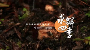 求鲜四季 kép