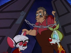 Pinky and the Brain 3. évad Ep.8 8. epizód