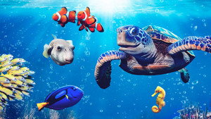 Reef School kép
