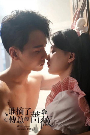 谁摘了傅总的蔷薇 poszter