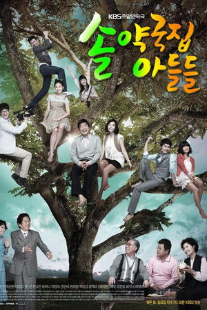 솔약국집 아들들 1. évad (2009-04-11) poszter