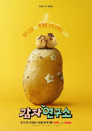 감자연구소 poszter