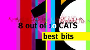 8 Out of 10 Cats 14. évad Ep.10 10. epizód