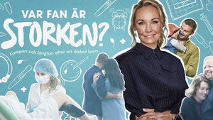 Var fan är storken? kép