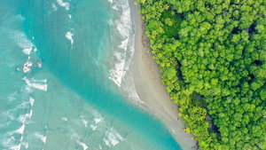 Costa Rica : Le réveil de la nature kép