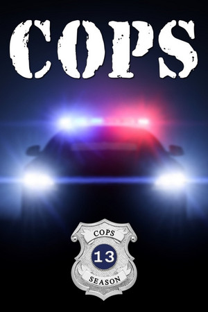 Cops 13. évad (2000-12-02) poszter