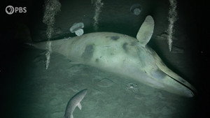 Eons 5. évad Ep.26 26. epizód