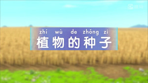 斑马百科 4. évad Ep.7 7. epizód