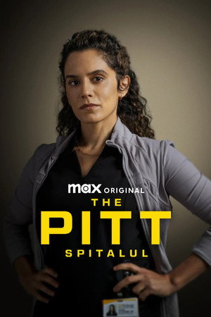 Vészhelyzet Pittsburghben poszter