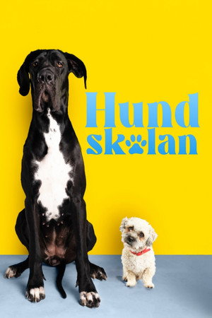 Fra bølle til bestevenn poszter