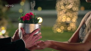 Bachelor 1. évad Ep.1 1. epizód