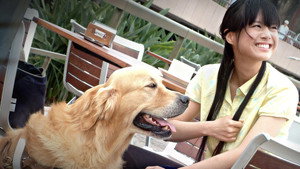 米可，GO！ kép