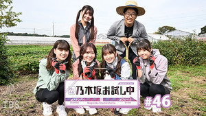 乃木坂お試し中 4. évad Ep.11 11. epizód