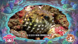 巴啦啦小魔仙魔法海洋馆 1. évad Ep.5 5. epizód