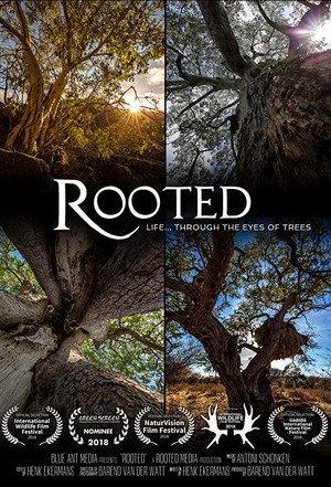 Rooted poszter