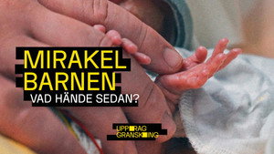 Uppdrag granskning sommar 2025. évad Ep.1 1. epizód