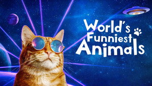 World's Funniest Animals kép