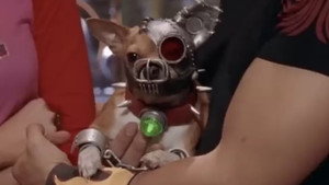 Los Luchadores 1. évad Ep.8 8. epizód