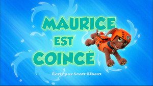 Mancs őrjárat 1. évad Ep.18 A rozmár megmentése